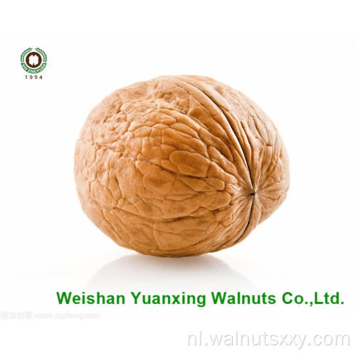 Walnut Kernels lichte stukken te koop